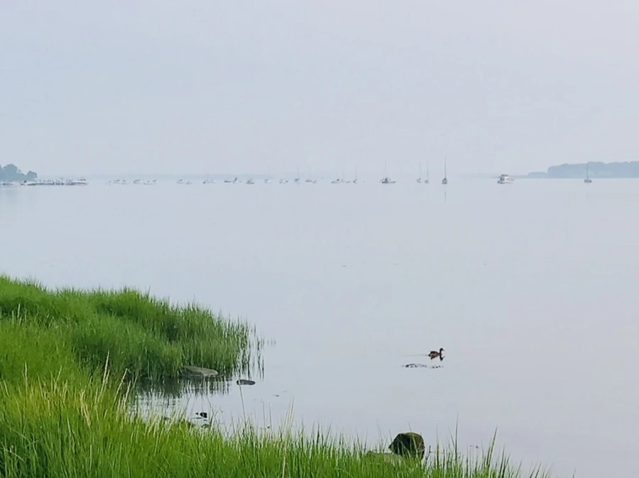 IMG_8437.jpg?type=w966