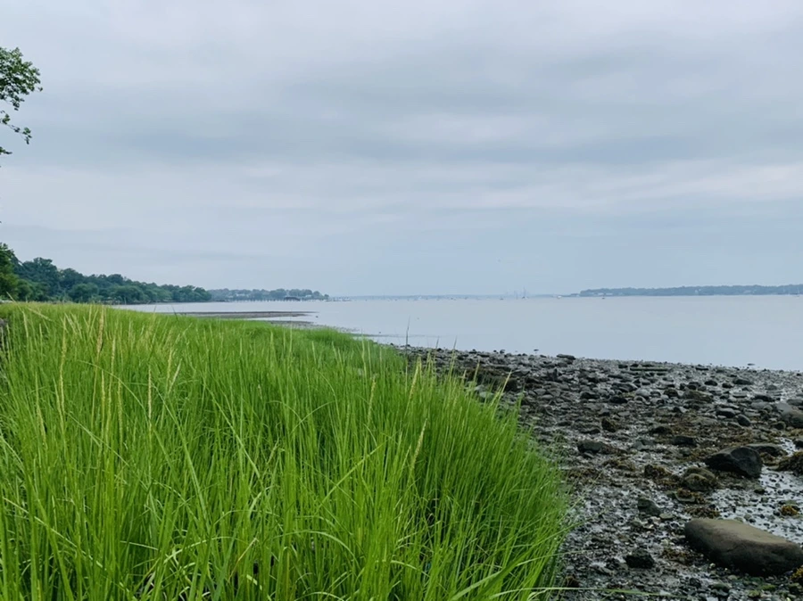 IMG_0757.jpg?type=w966