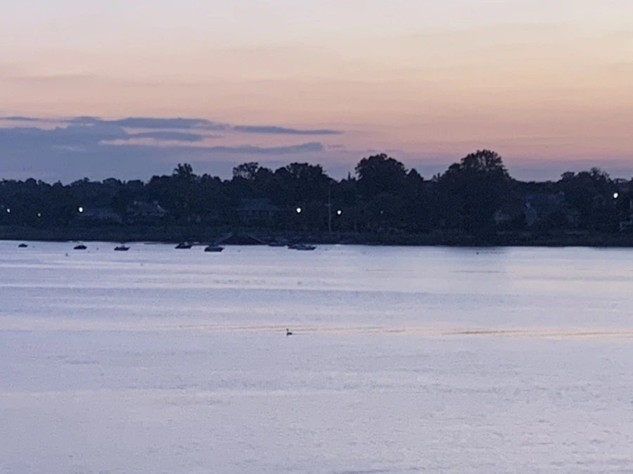 IMG_8711.jpg?type=w966