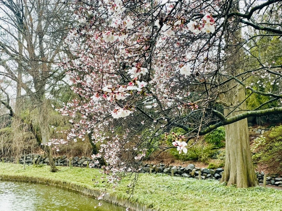 IMG_7342.jpg?type=w966