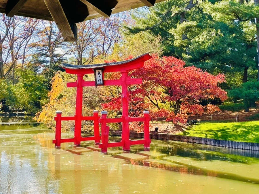 IMG_3037.jpg?type=w966