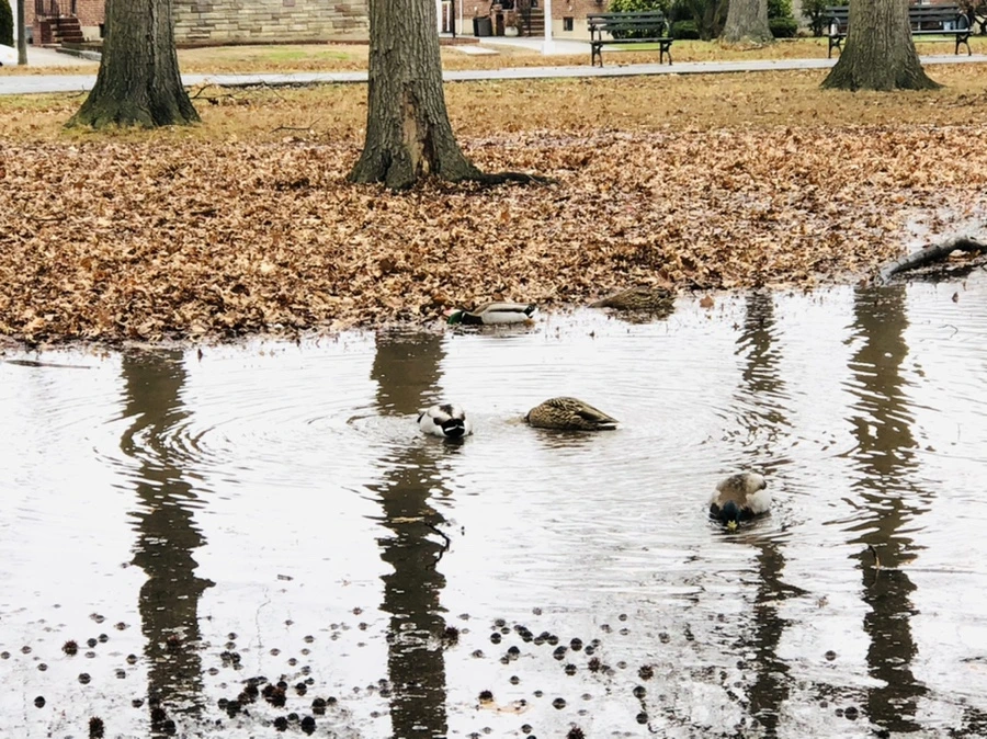 IMG_9528.jpg?type=w966