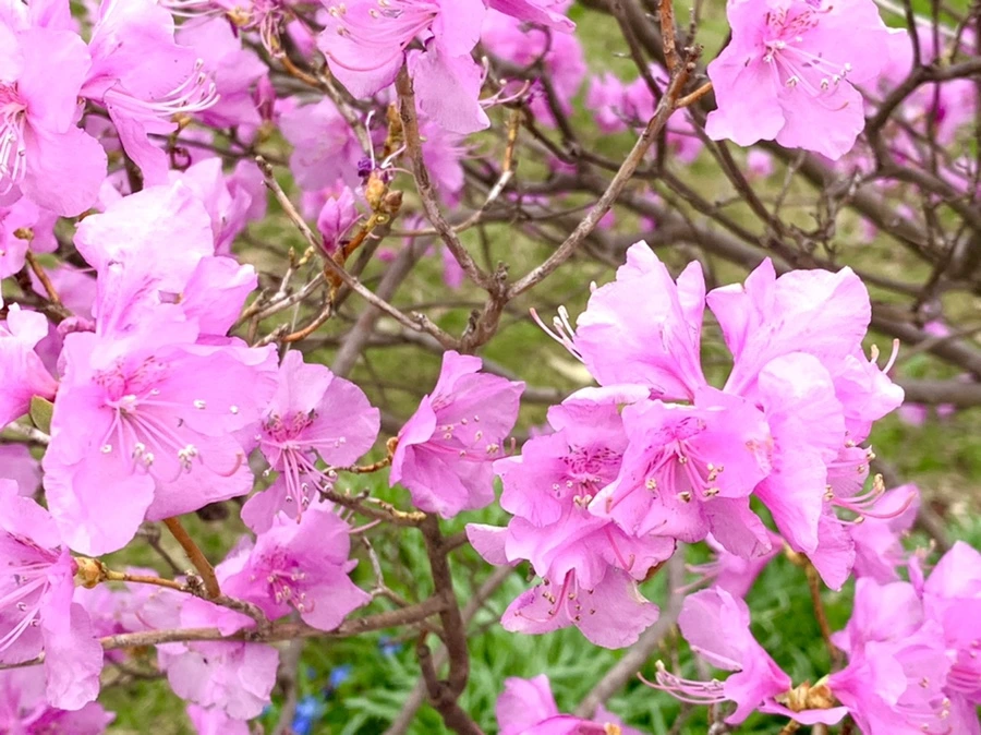 IMG_5954.jpg?type=w966