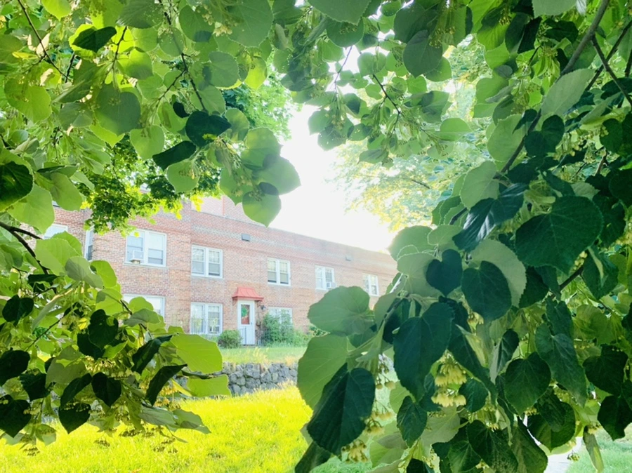 IMG_4764.jpg?type=w966