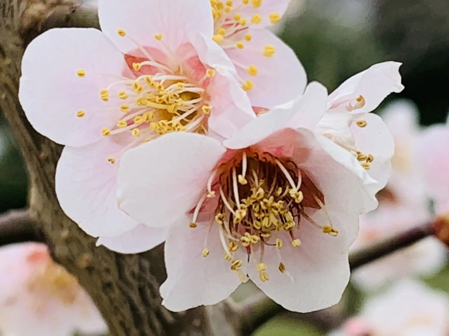 IMG_3547.jpg?type=w966