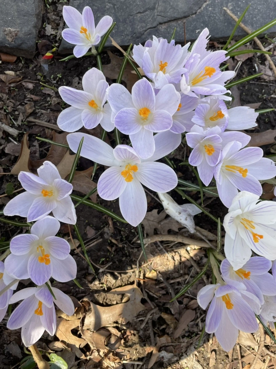 IMG_5871.jpg?type=w966