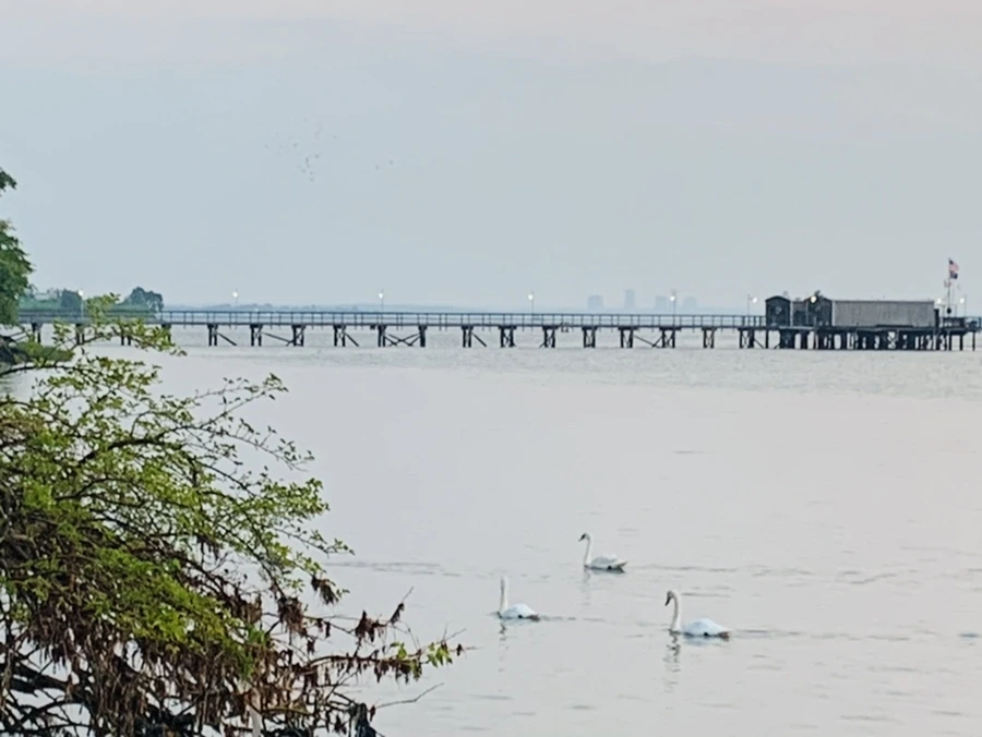 IMG_2377.jpg?type=w966