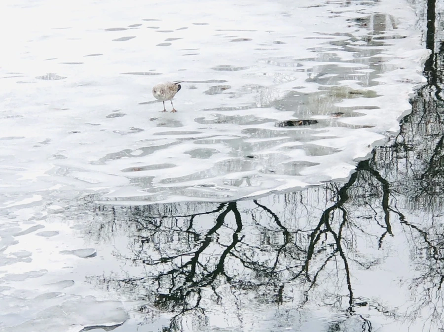 IMG_6512.jpg?type=w966