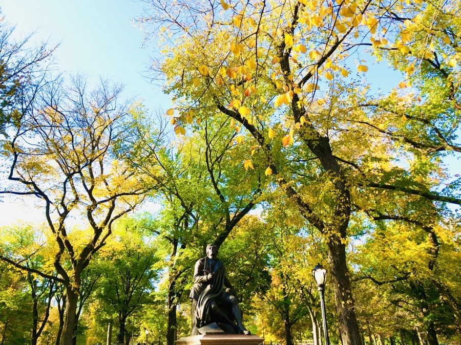 IMG_3458.jpg?type=w966