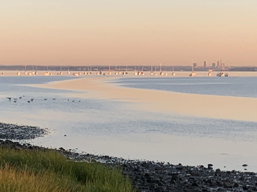 IMG_8604.jpg?type=w966