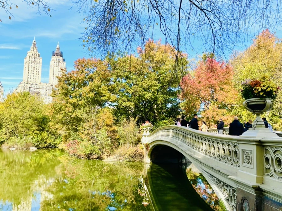 IMG_0251.jpg?type=w966