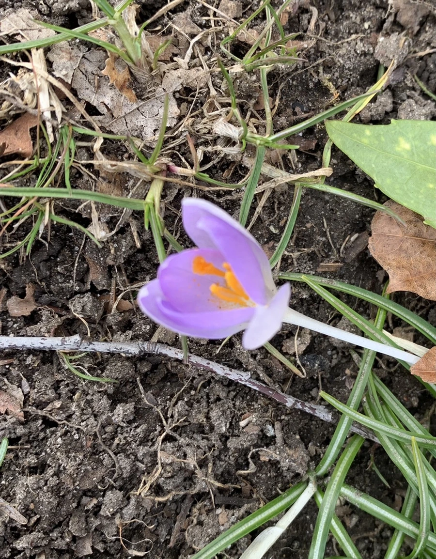 IMG_7676.jpg?type=w966