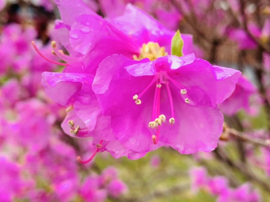 IMG_6144.jpg?type=w966