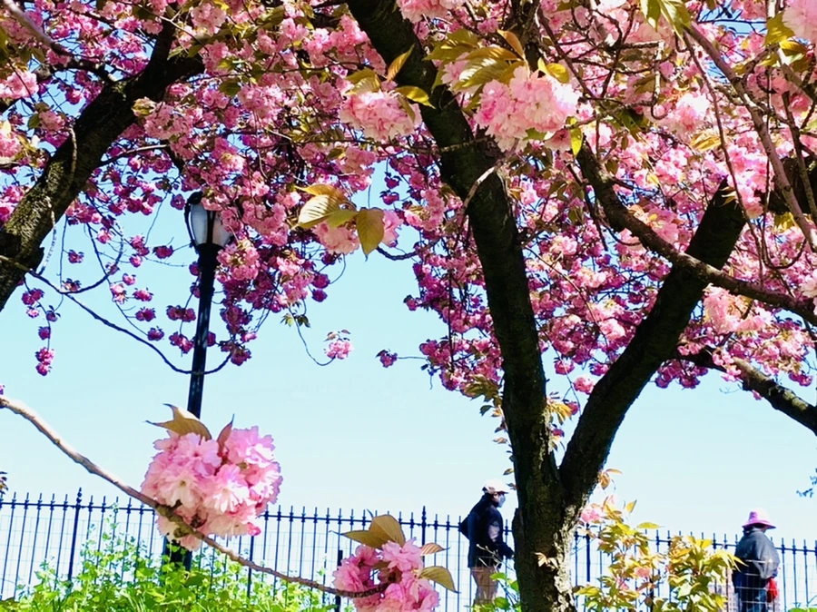 IMG_5867.jpg?type=w966