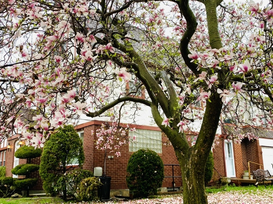 IMG_2234.jpg?type=w966