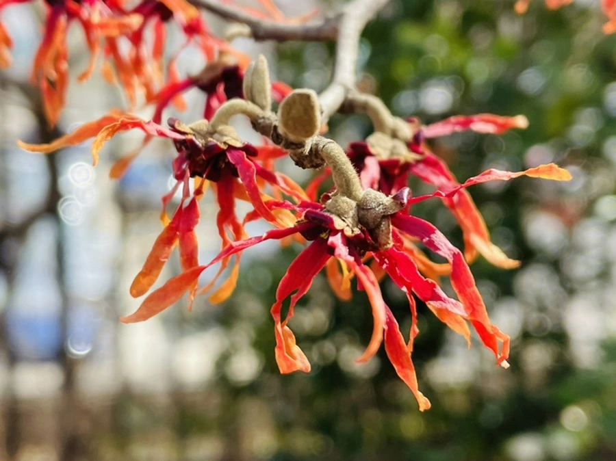 IMG_4159.jpg?type=w966