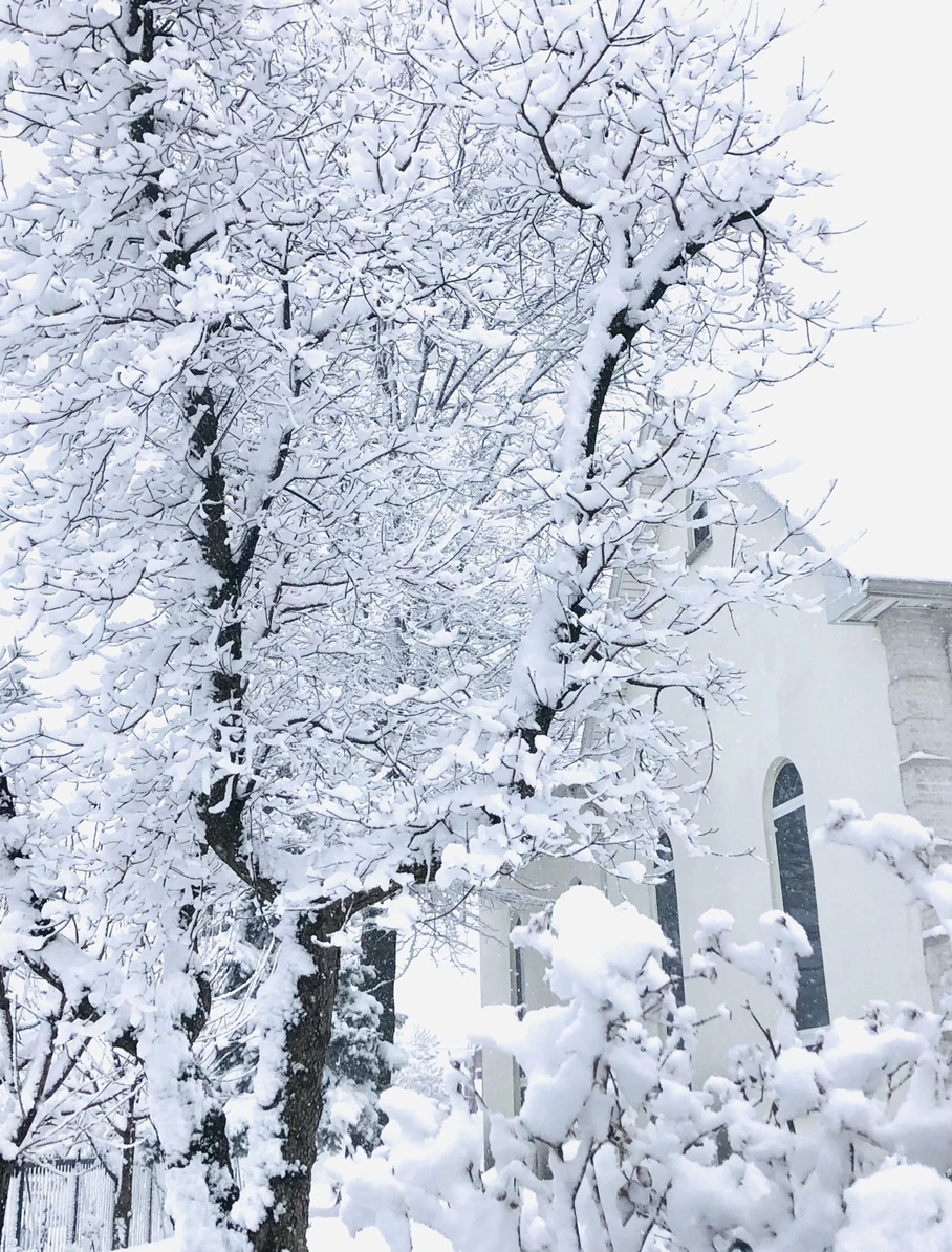 IMG_1036.jpg?type=w966