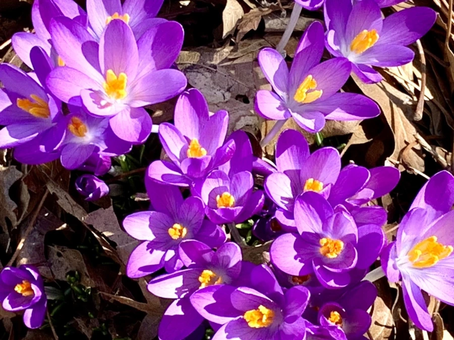 IMG_9783.jpg?type=w966