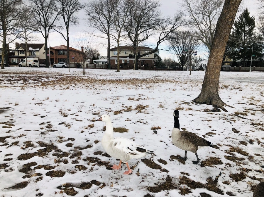 IMG_9399.jpg?type=w966