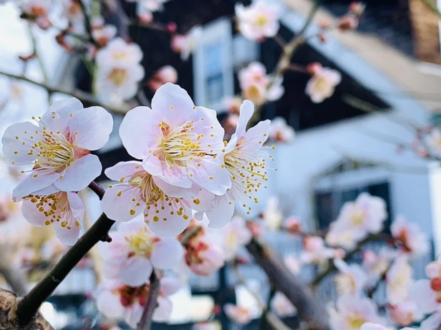 IMG_0991.jpg?type=w966