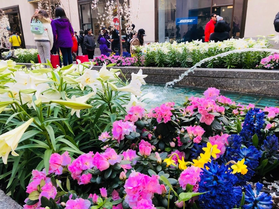 IMG_4101.jpg?type=w966