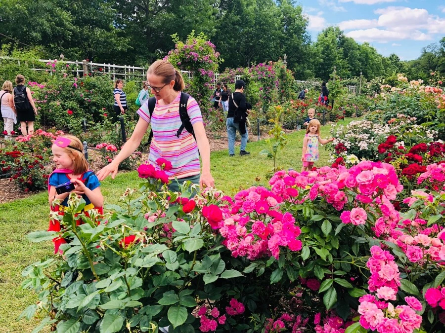 IMG_7882.jpg?type=w966