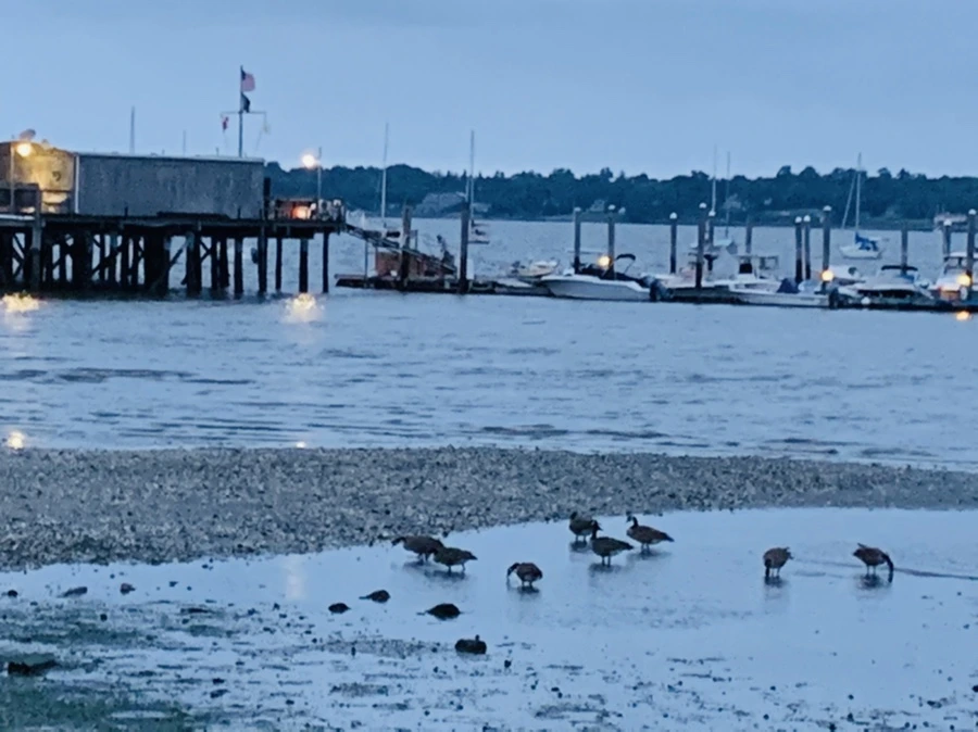 IMG_6714.jpg?type=w966