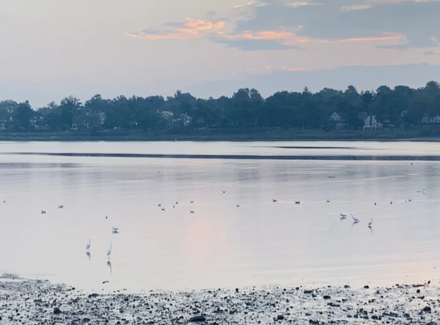 IMG_8161.jpg?type=w966