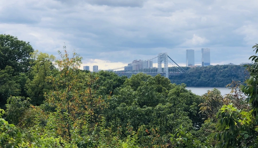 IMG_1508.jpg?type=w966