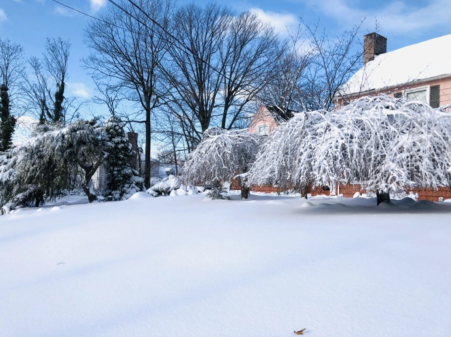 IMG_6965.jpg?type=w966