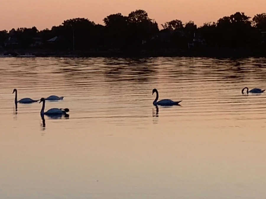 IMG_0162.jpg?type=w966