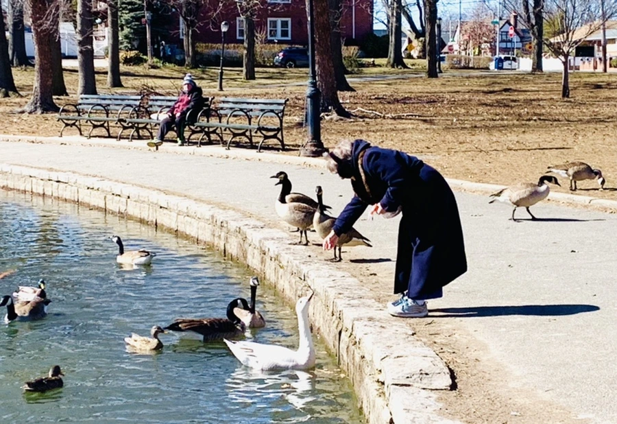 IMG_7629.jpg?type=w966