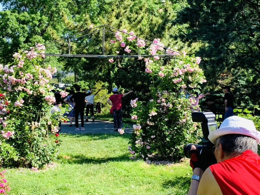 IMG_3074.jpg?type=w966