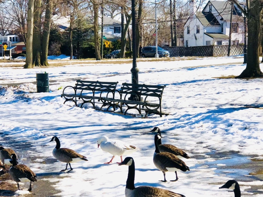 IMG_4900.jpg?type=w966