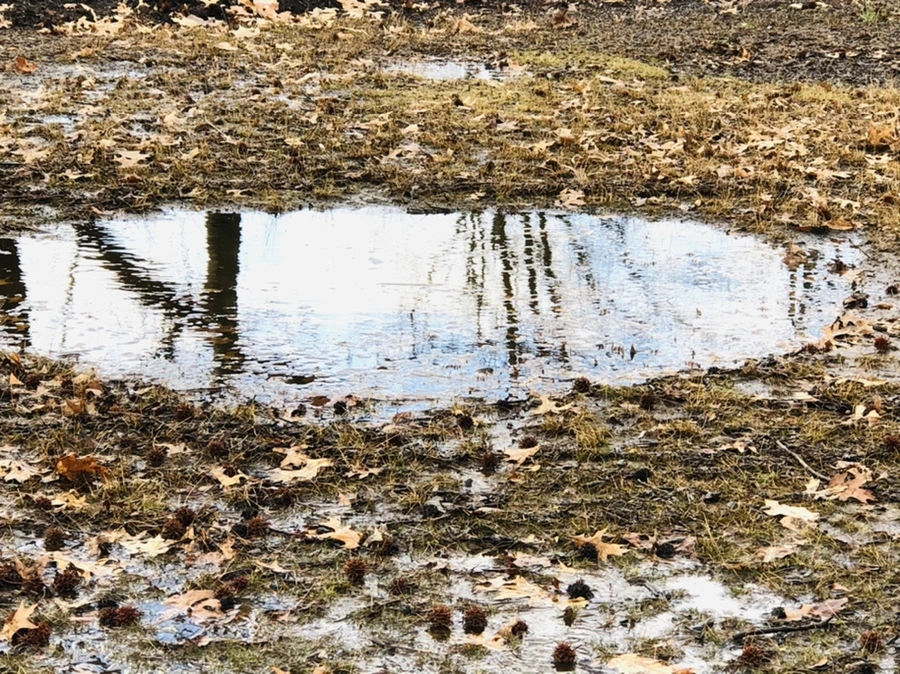 IMG_3490.jpg?type=w966