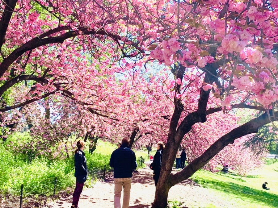 IMG_5895.jpg?type=w966