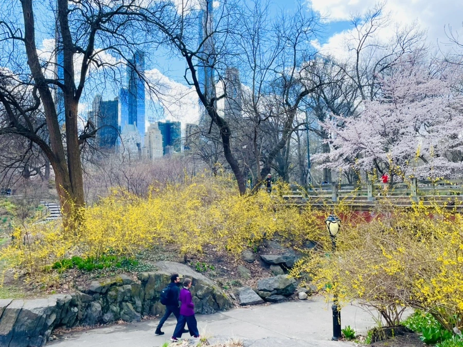 IMG_8101.jpg?type=w966