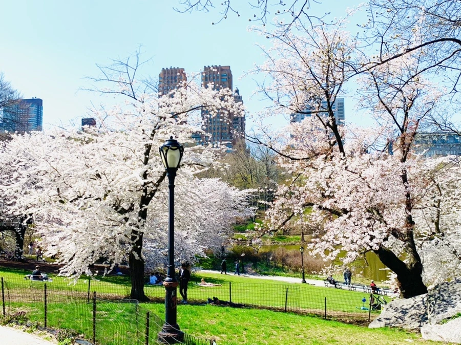 IMG_8961.jpg?type=w966