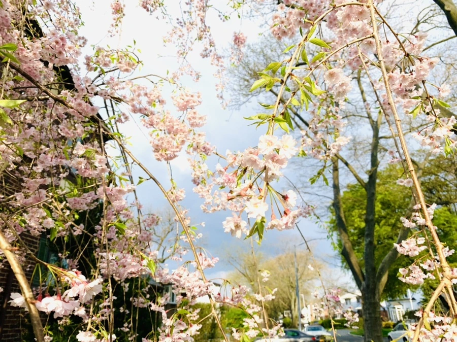 IMG_3816.jpg?type=w966