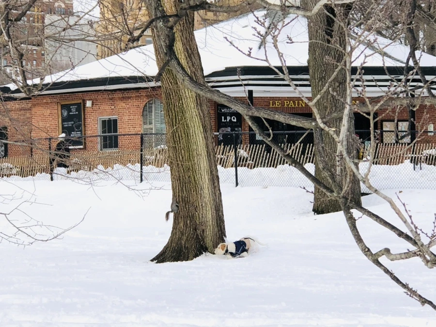 IMG_9315.jpg?type=w966