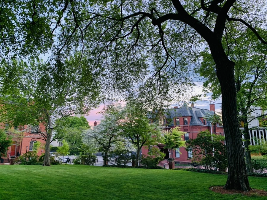 IMG_2572.jpg?type=w966