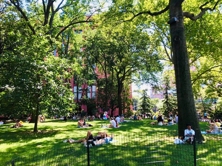 IMG_5431.jpg?type=w966