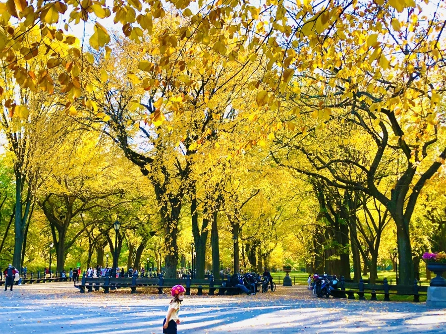 IMG_3511.jpg?type=w966