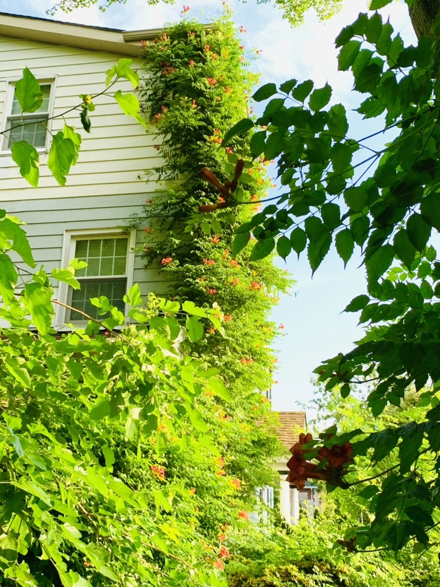 IMG_5844.jpg?type=w966