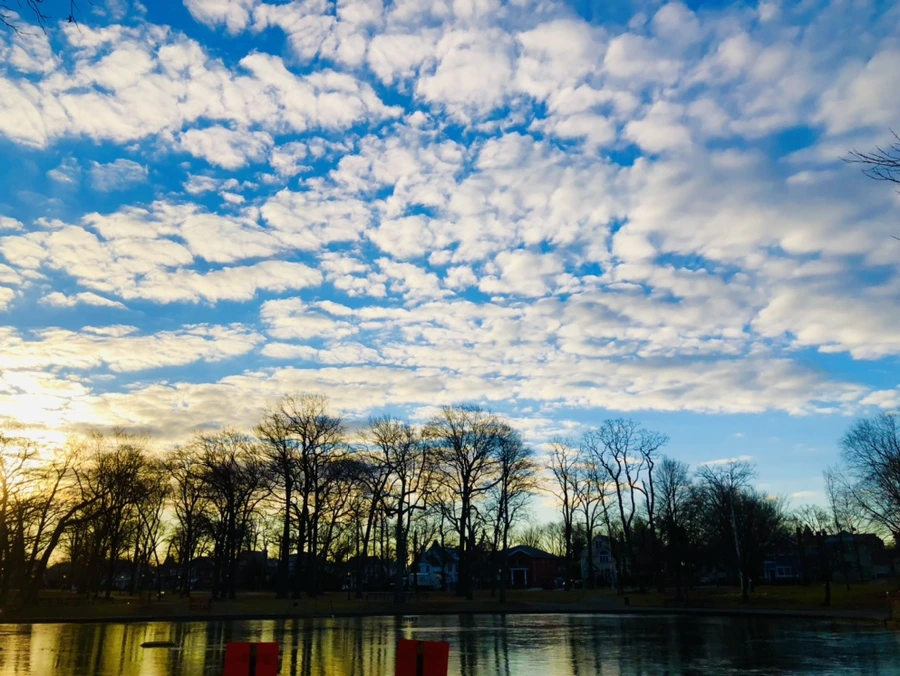 IMG_4891.jpg?type=w966