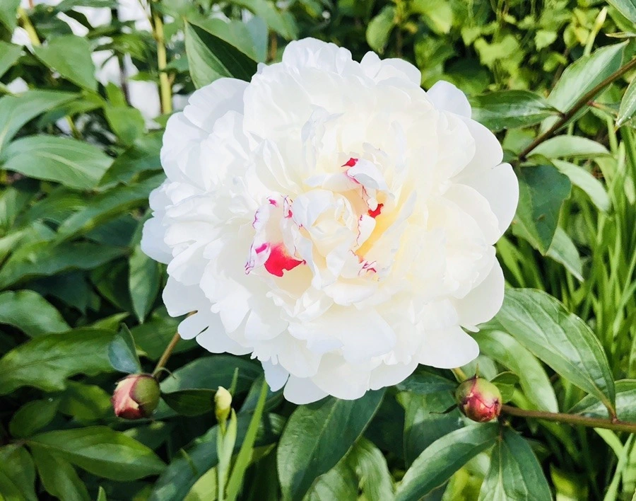 nCreB7NG-wUdQSUbSugUZVhE_fw