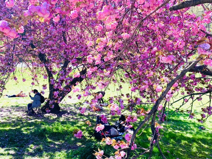 IMG_5924.jpg?type=w966