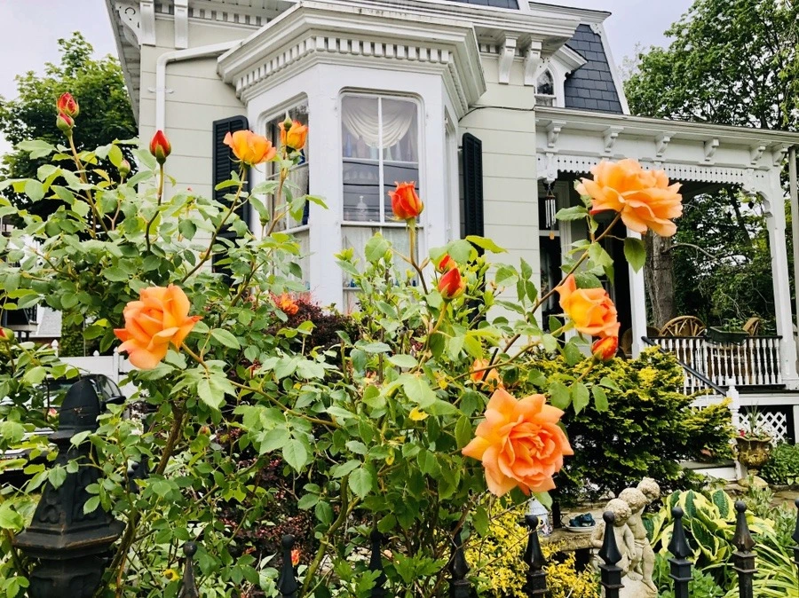 hA7gXHJ_J5_W6UUkShRCNTHwXao