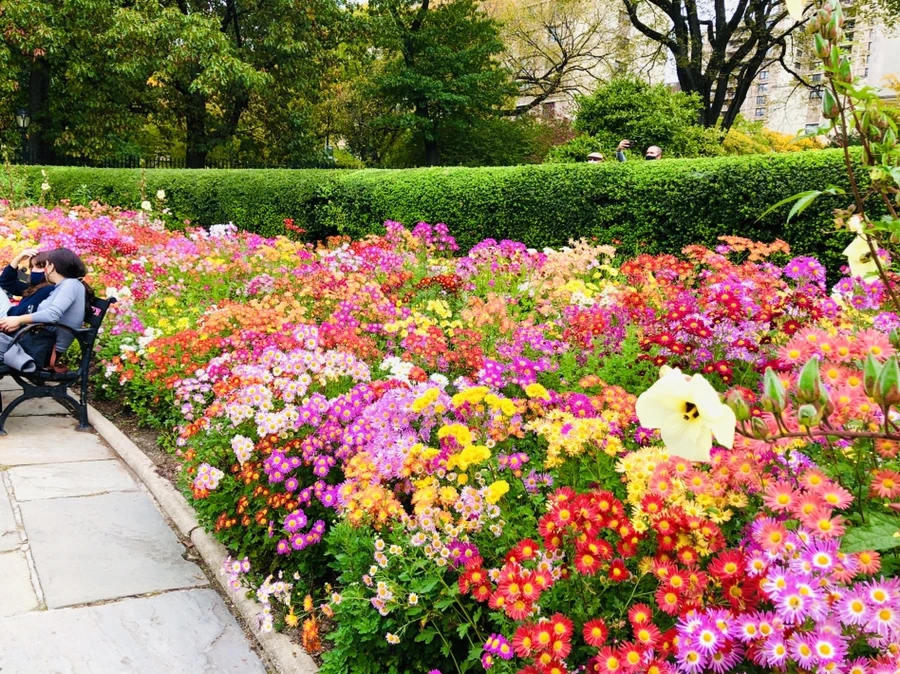 IMG_2503.jpg?type=w966