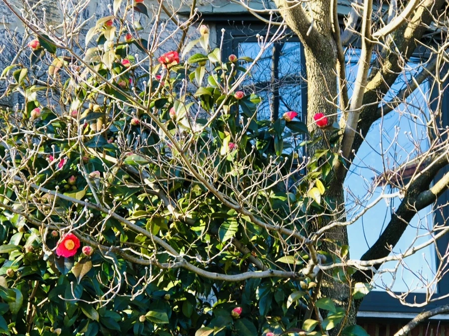 IMG_0329.jpg?type=w966